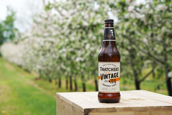 Tesco Cider Survival Guide - 5 of the best Ciders