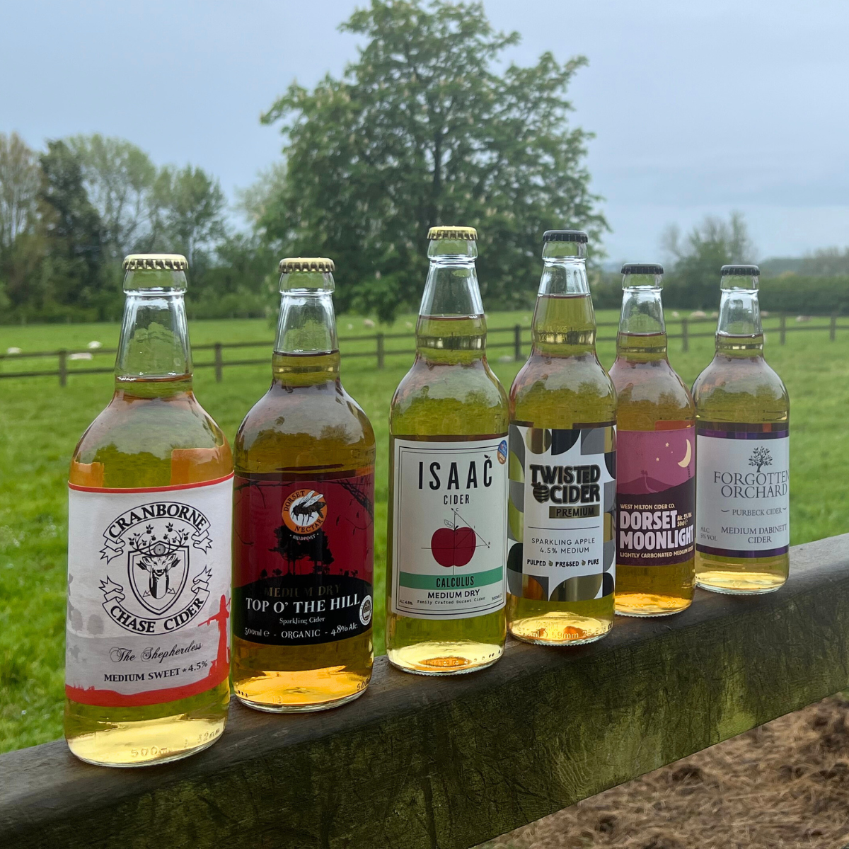 May's Discovery Box - 6 or 12 Premium Ciders