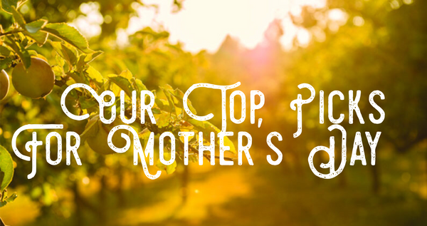 Mother’s Day Cider Pick: Stunning 3 Pack of Ciders