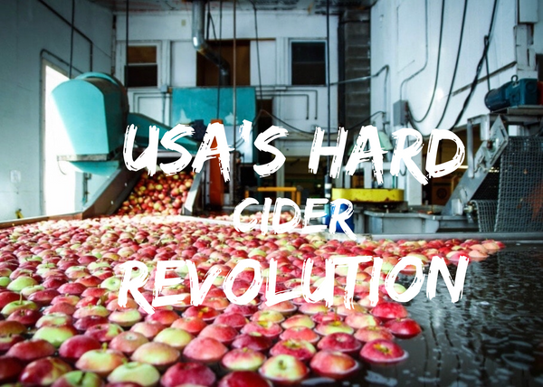 USA’S Hard Cider Revolution
