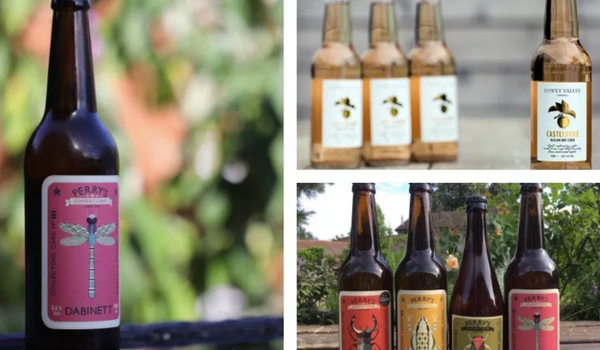 REAL CIDER TASTING NOTES | SEPTEMBER BOX