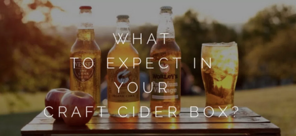 TASTING NOTES: FEBRUARY CIDER BOX