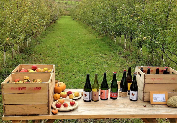How To Make Cider: The Bluffers Guide