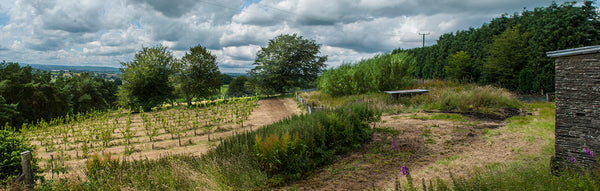 Hallets Cider in the Brecon Beacons Beckons!