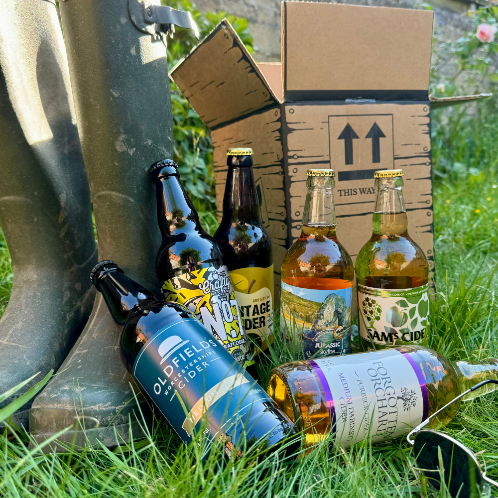 Festival Cider Special Mixed Case