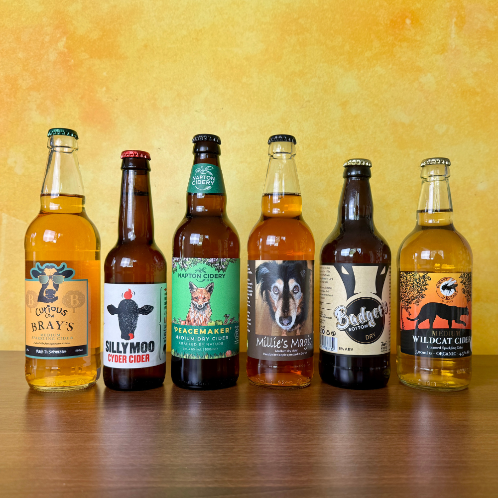 September's Discovery Box - 6 or 12 Premium Ciders