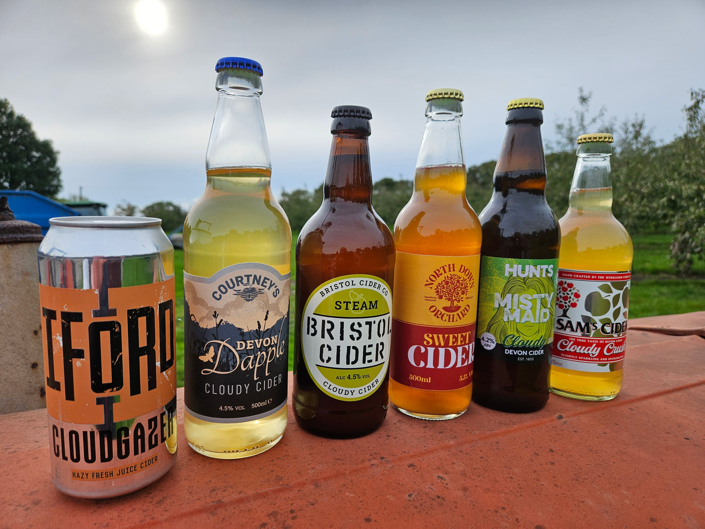 October's Discovery Box - 6 or 12 Premium Ciders